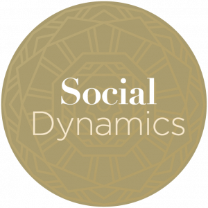 Social Dynamics